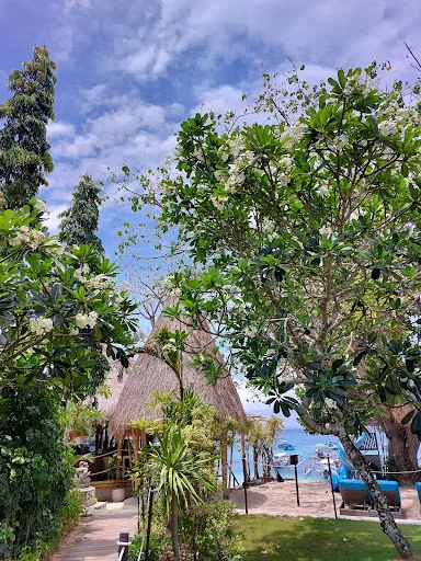 Bali Hai Beach Club 2