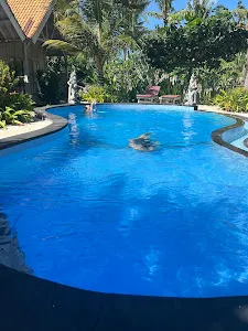 Coconut Village Guest House 4