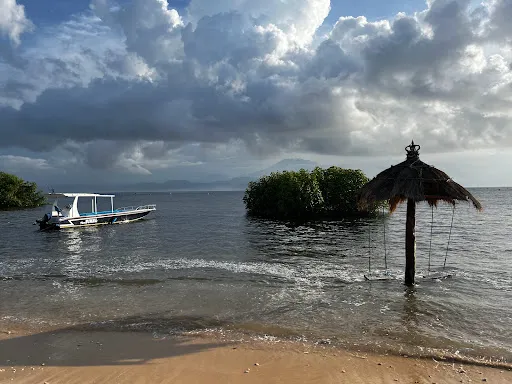 Mangrove Point 4