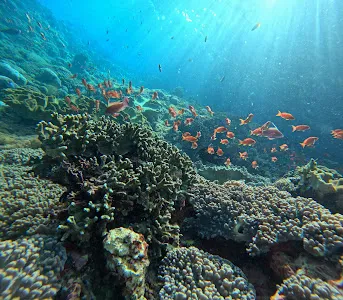 Kapten Yurix 1