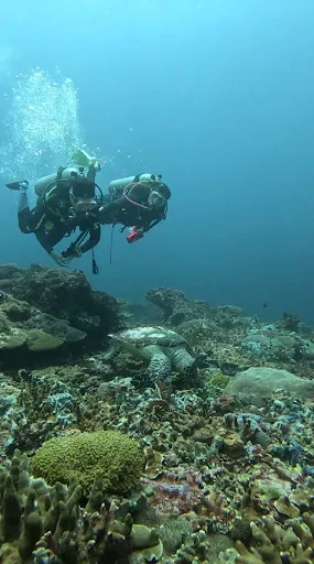 Diving in Bali - Bali Diving Academy 3
