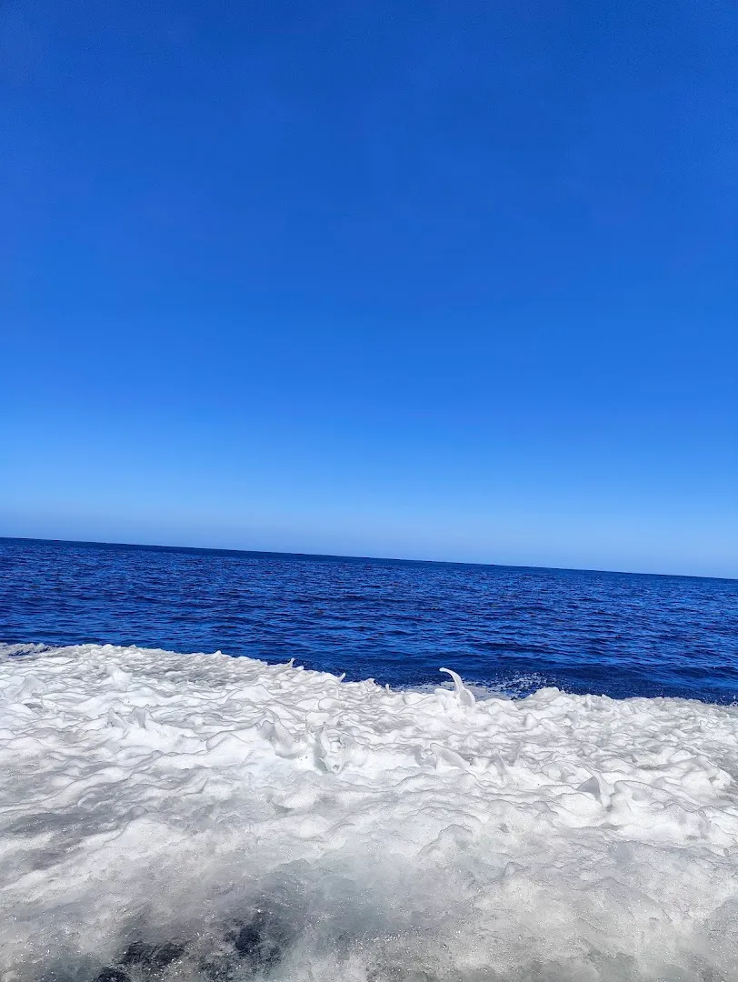 D'camel Fast Boat Point 3