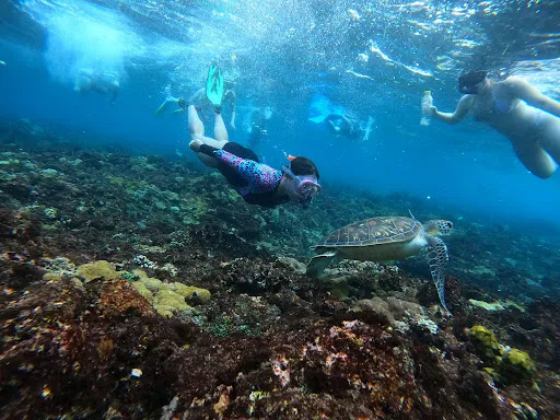 Captain Coconut Snorkeling 1