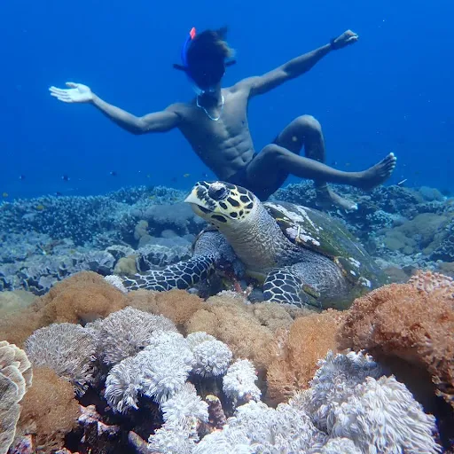 Captain Coconut Snorkeling 2