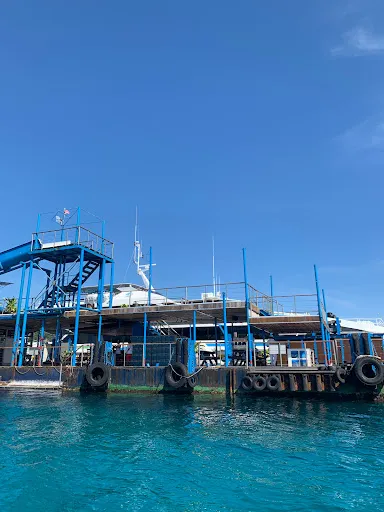 Bali Hai Cruises Pontoon 4