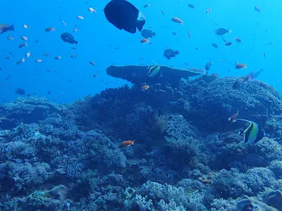 Scuba Center Asia Lembongan 3