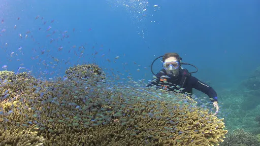 Bali Hai Diving Adventures Lembongan 1