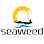 Seaweed Guesthouse, Lembongan 4