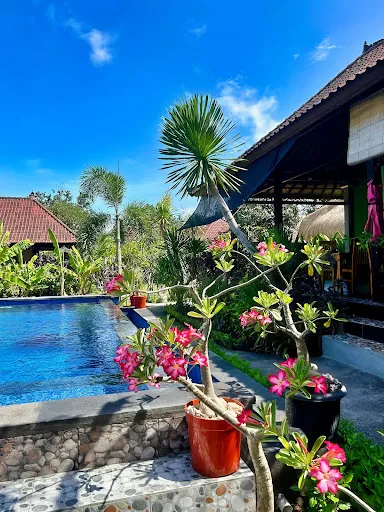 Pattri Garden Lembongan 3