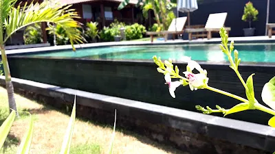 Lembongan Mantra Huts - CHSE Certified 1