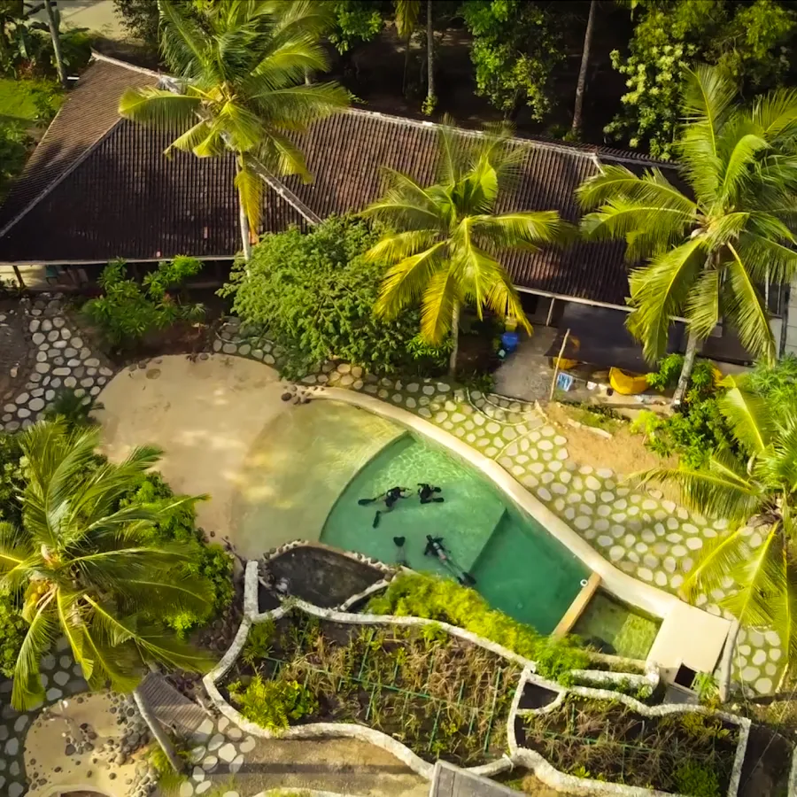 Reeflex Divers Crystal Bay 4