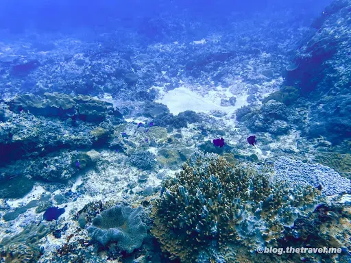Manta Bay 4