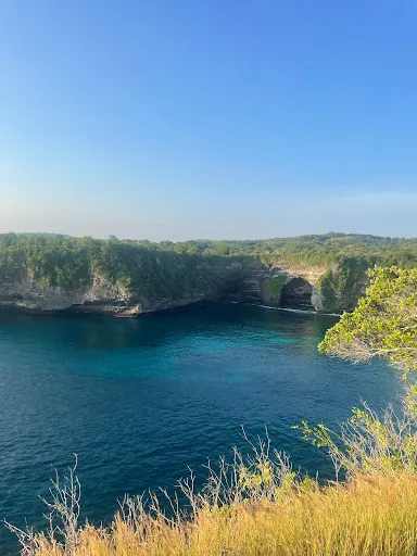 Dolphin Beach