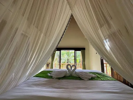 Green Coco Suite 4