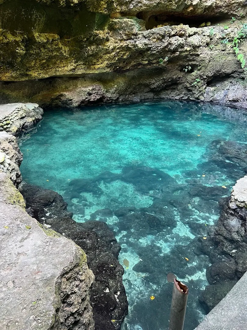 Nusa penida _ driver oka 4