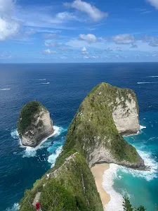 Nusa Penida Island I Speed Boat Ticket and Private Tour 2
