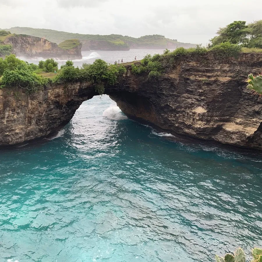 MS Nusa Penida Tour & Travel 2