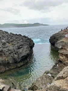 MS Nusa Penida Tour & Travel 3