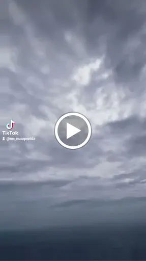 MS Nusa Penida Tour & Travel 4