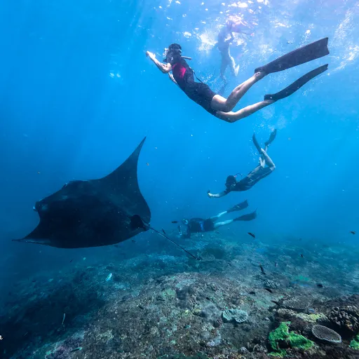 Freedive Nusa - Freediving School 3