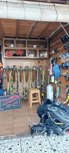 Octopus Dive Nusa Penida 3