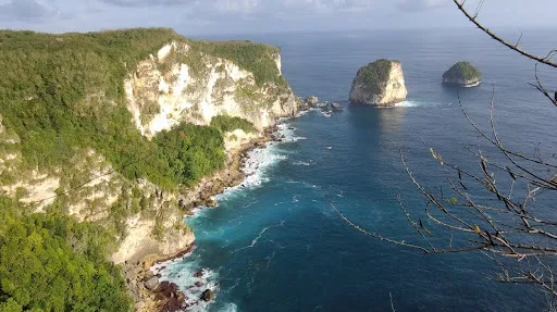 Sanctum Dive - Nusa Penida - Bali Diving, Manta diving, Mola Mola 2