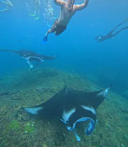 Nusa Penida Explorer 2