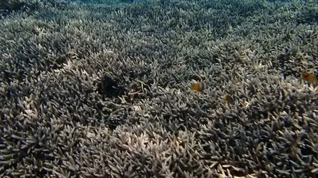 Discover Nusa Penida 1