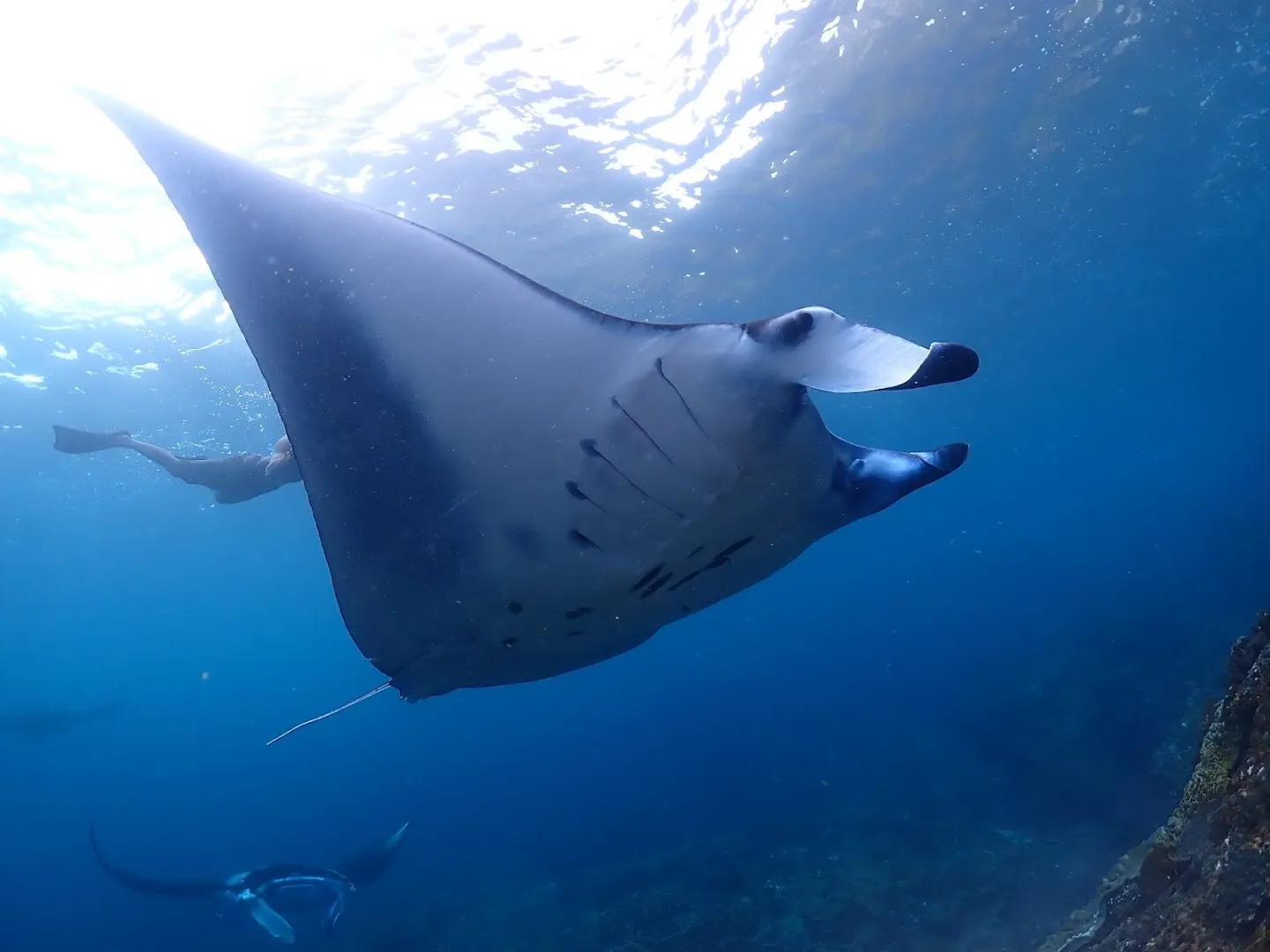 Discover Nusa Penida 2