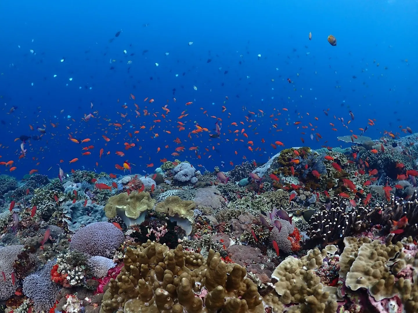 Discover Nusa Penida 4