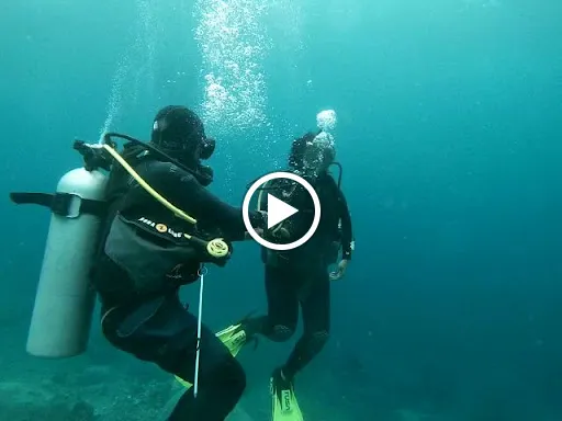 nusapenidadivecenter 2