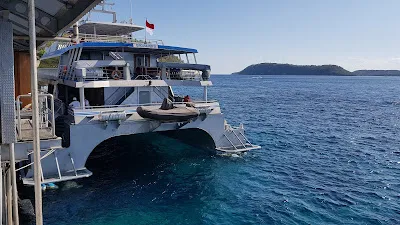 Mega Pontoon Quick Silver 1