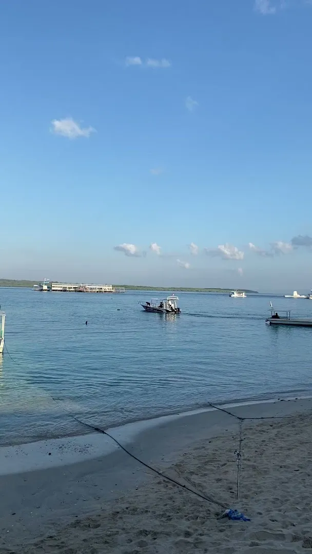 Tiger Rays Snorkeling 3