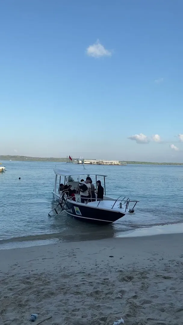 Tiger Rays Snorkeling 4