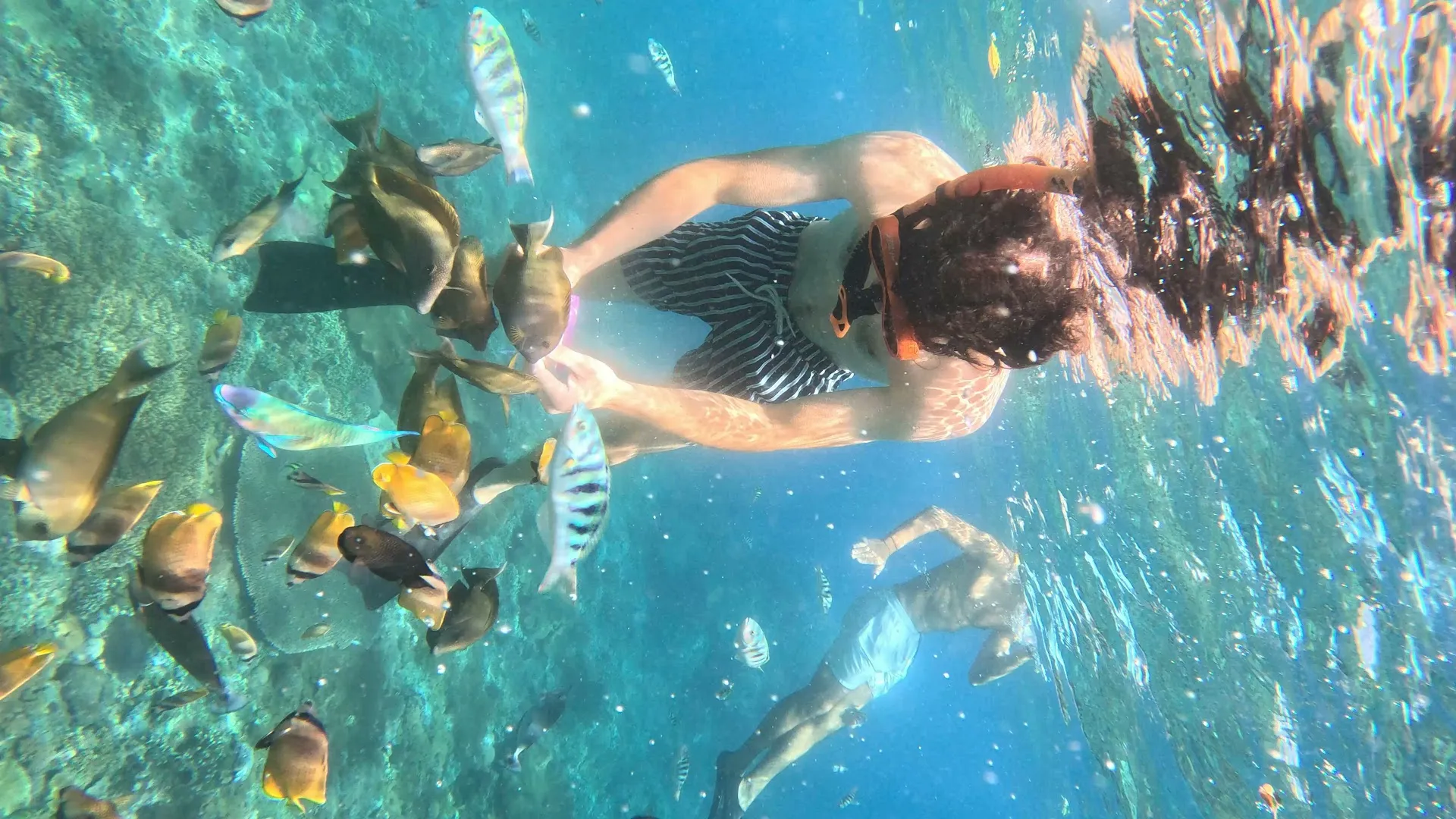 Manta Ray Excursion 1