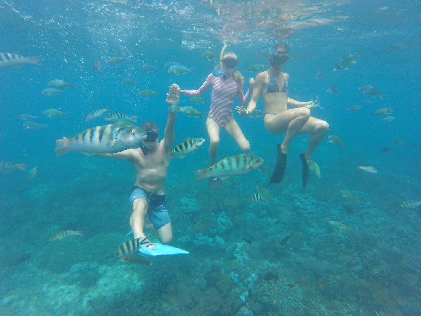 Tour Penida driver 3