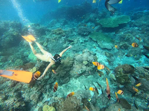 Manta Point Snorkeling Nusa Penida 2