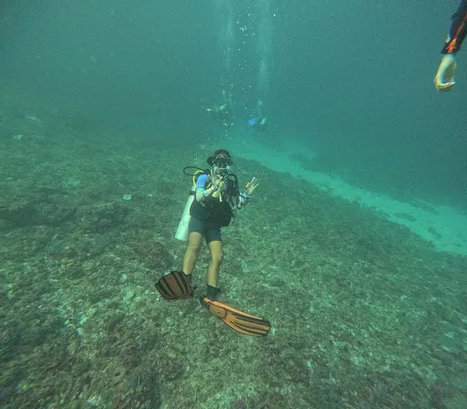 Temple Diving by Mar Adentro 4
