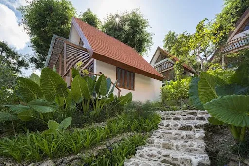 Deep Roots Dive & Yoga Resort 1