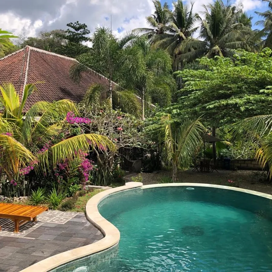 Tarzan Marriott On Penida 2