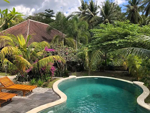 Tarzan Marriott On Penida 4