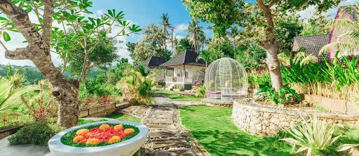 AKUSARA JUNGLE RESORT & SPA 4