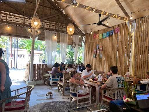 Organica fresh and tasty food 3