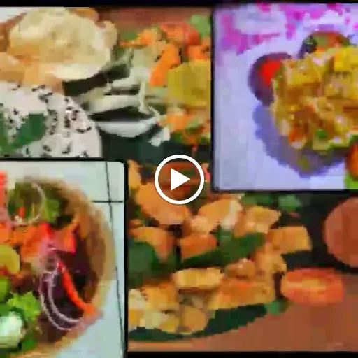 Organica fresh and tasty food 4