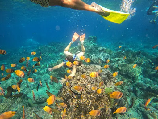 Snorkeling at Nusa Penida 1
