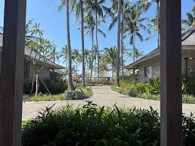 Seven Dreams A Pramana Experience 1