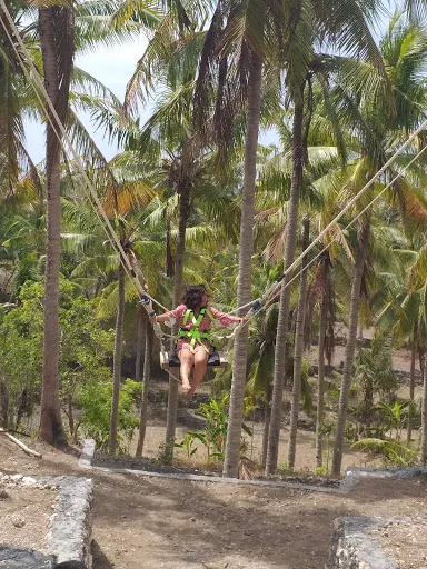 Oceania Cliff Activities 2