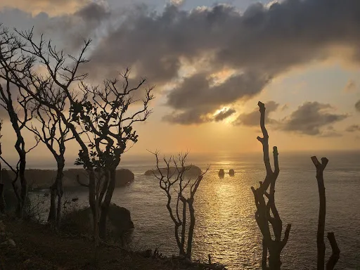 Oceania Cliff Activities 3