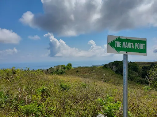 Teletubbies Hill 1