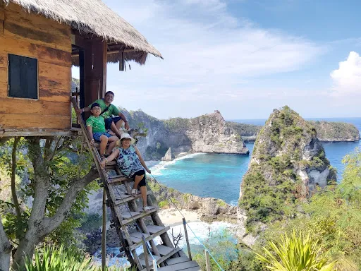 Thousand Islands Viewpoint 2